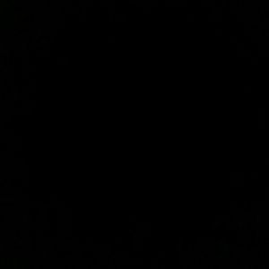 Meet your Posher, Donn